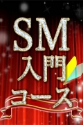 SM入門